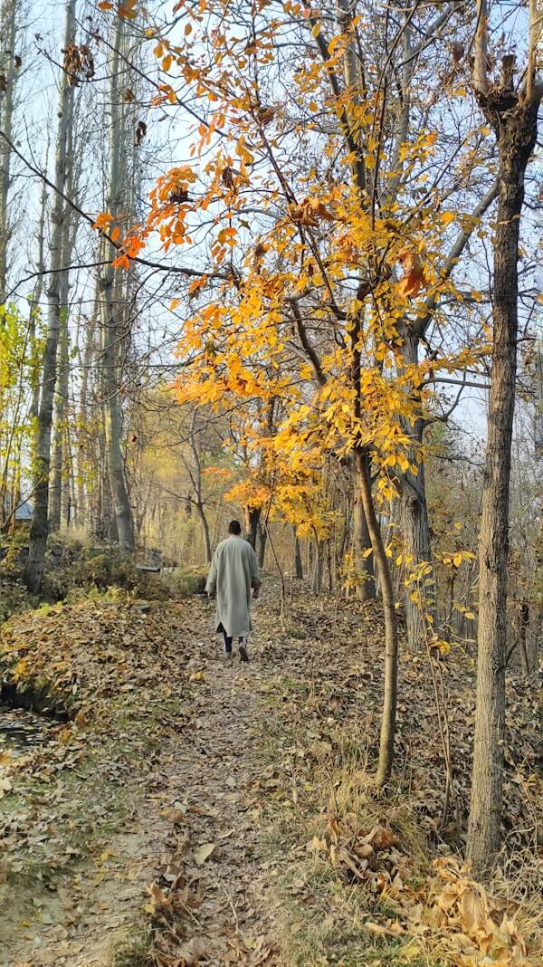 Person walking on peaceful path representing healing journey